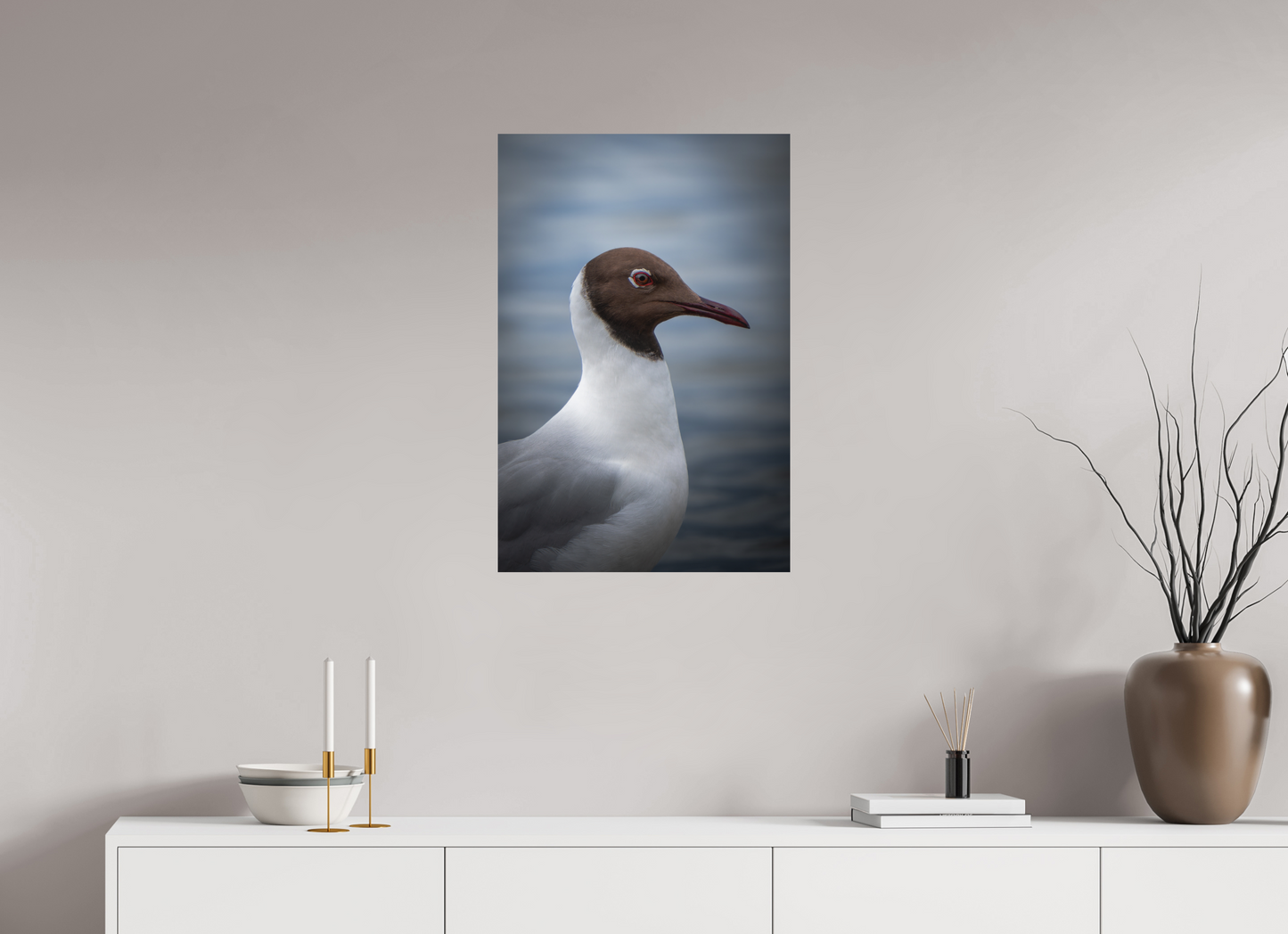 Mouette rieuse | le casque brun