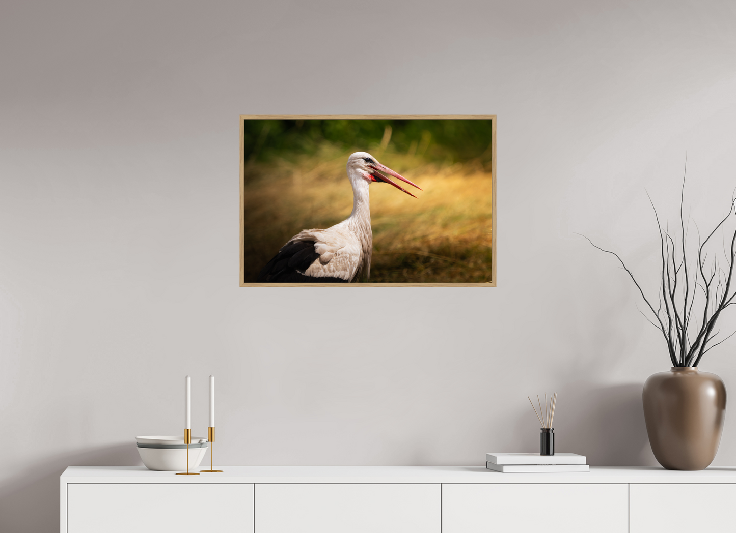 Cigogne blanche | une chaleur ardente