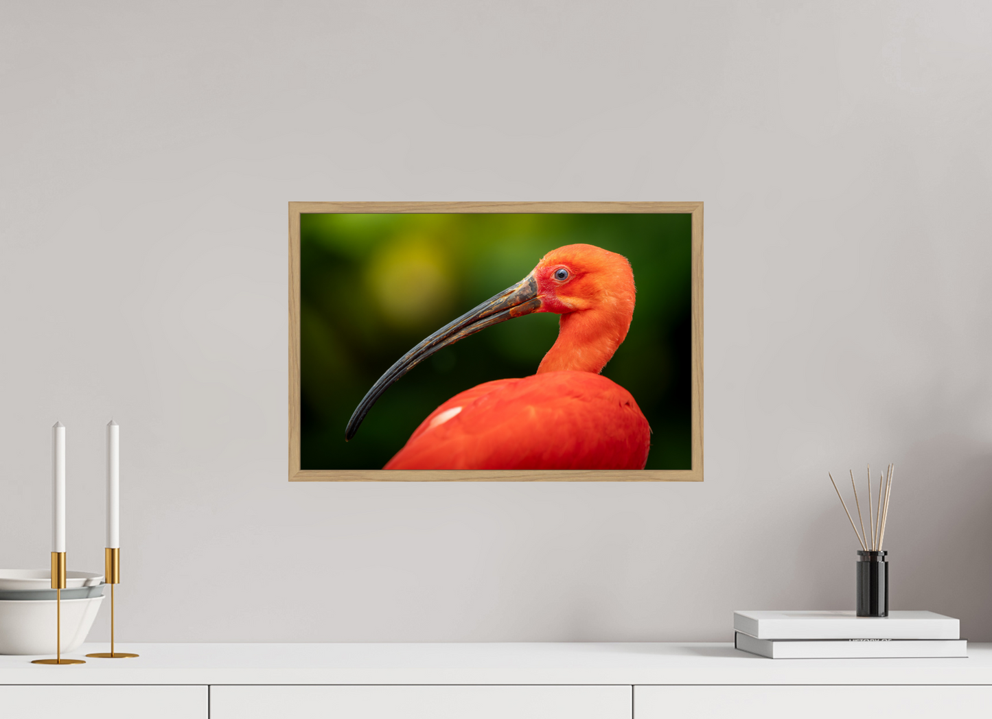 Ibis Rouge | un rouge écarlate