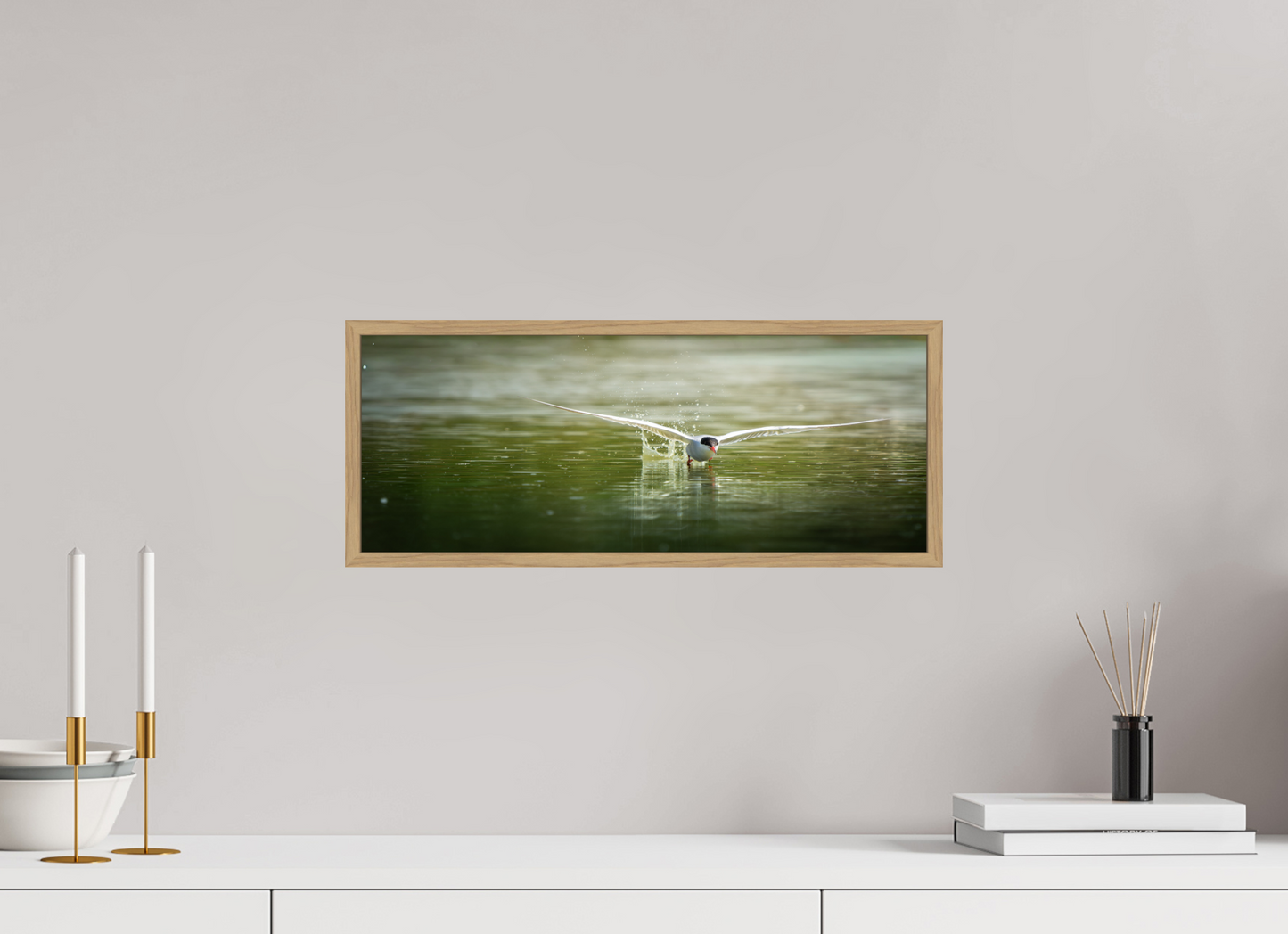 Sterne Pierregarin | chasse en surface