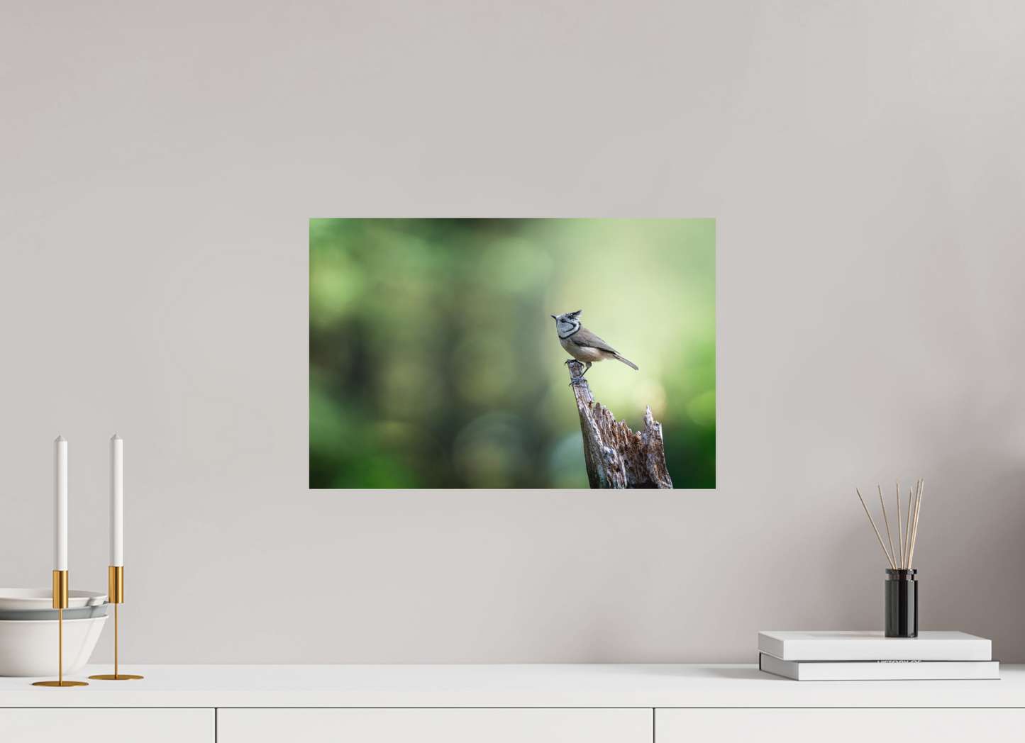 45 x 30 cm, Forex Présence Sylvestre