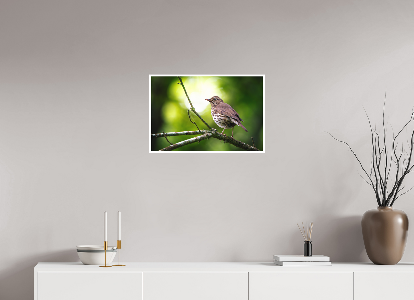 Grive musicienne | l'oiseau des sous-bois
