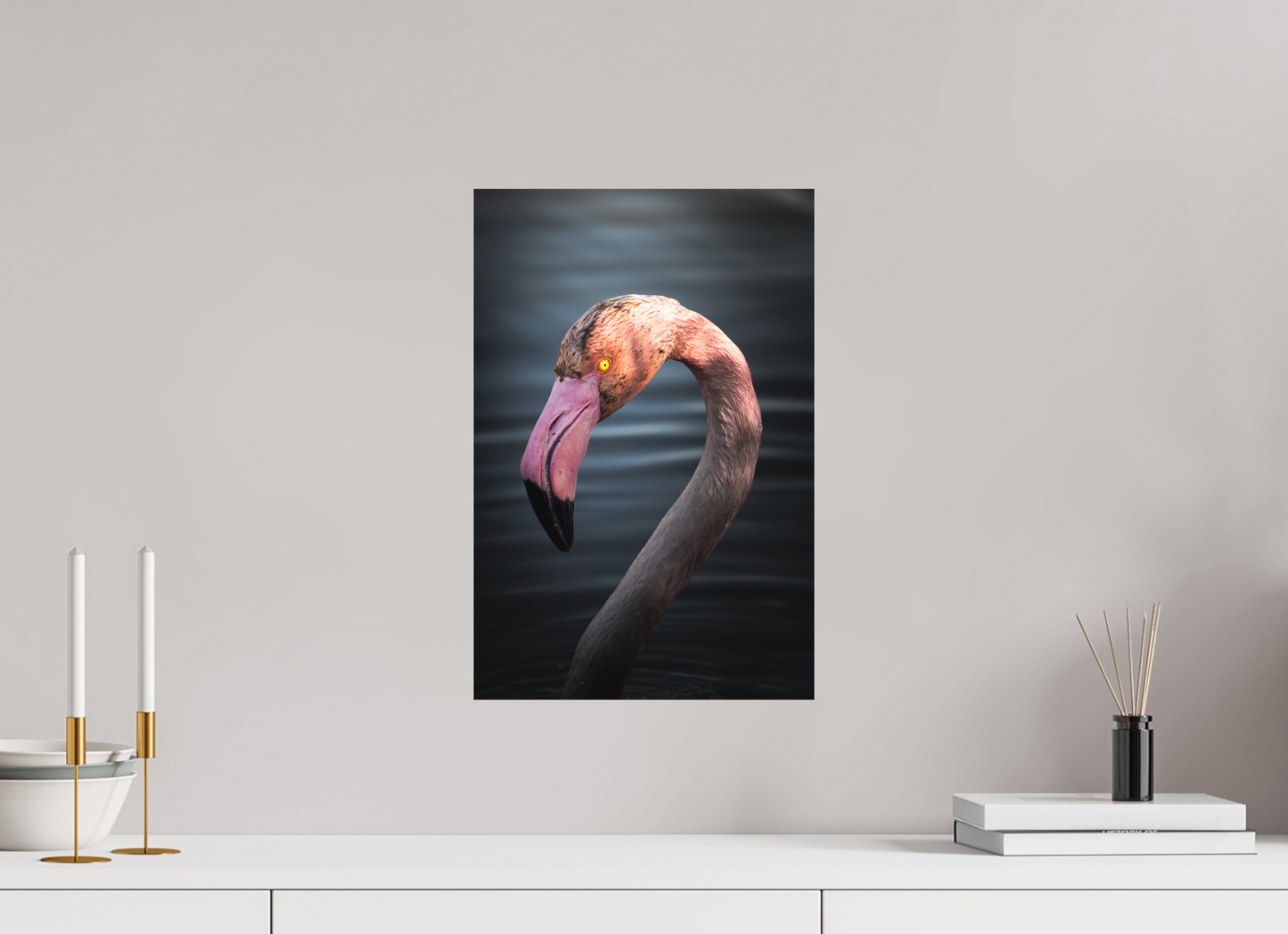 Flamant Rose | un regard menaçant