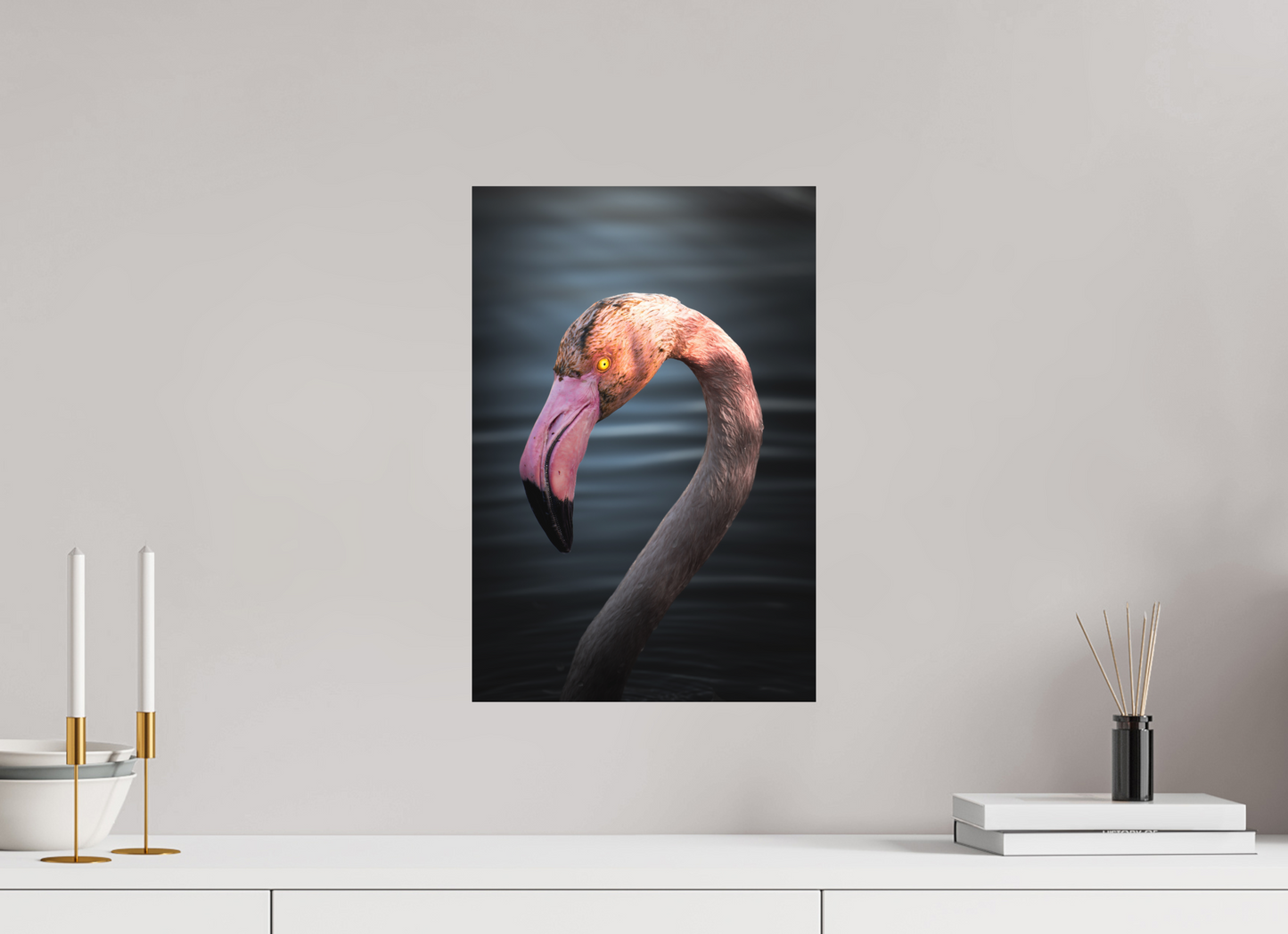 Flamant Rose | un regard menaçant