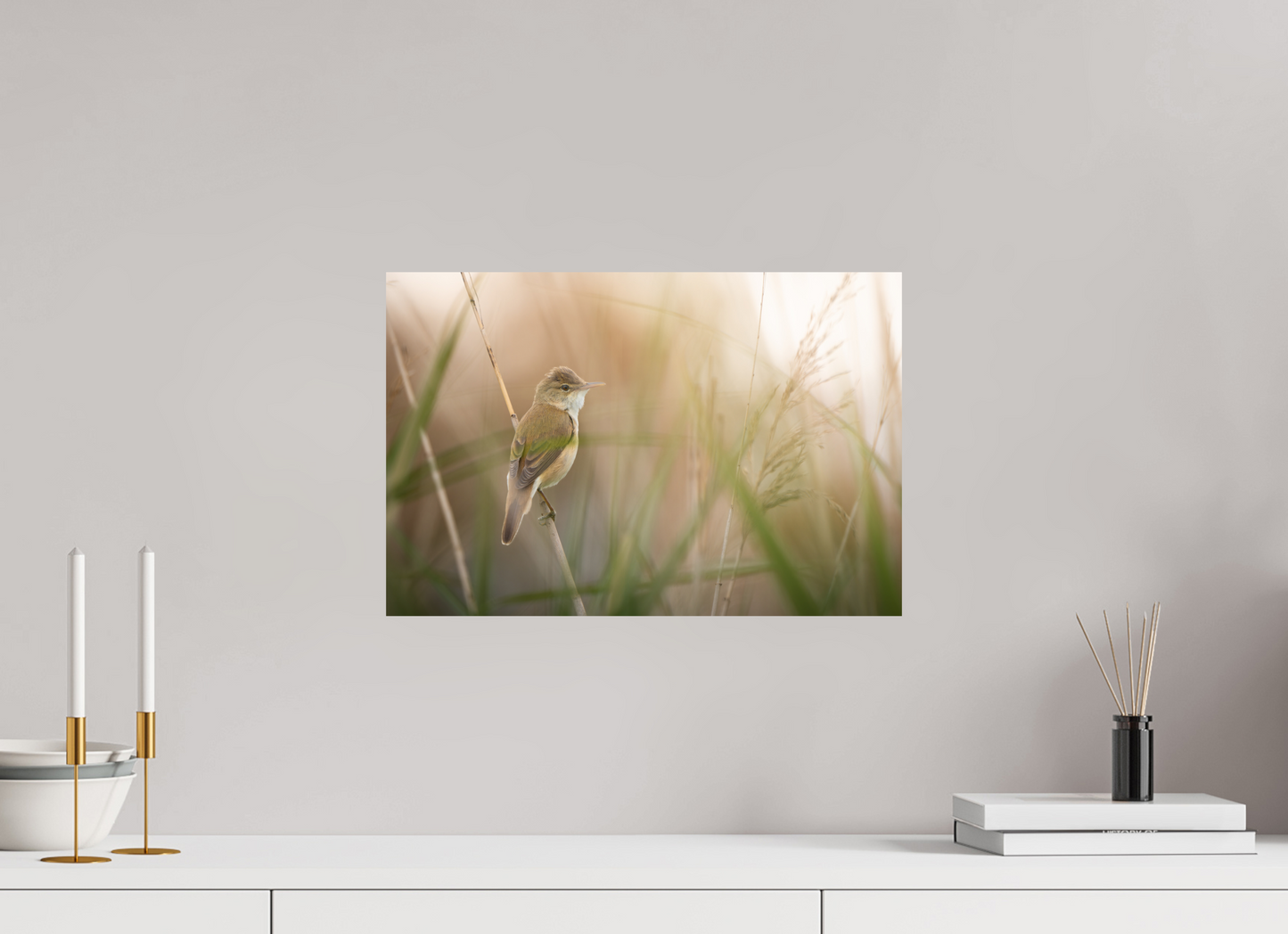 45 x 30 cm, Alu Dibond Murmure des Marais