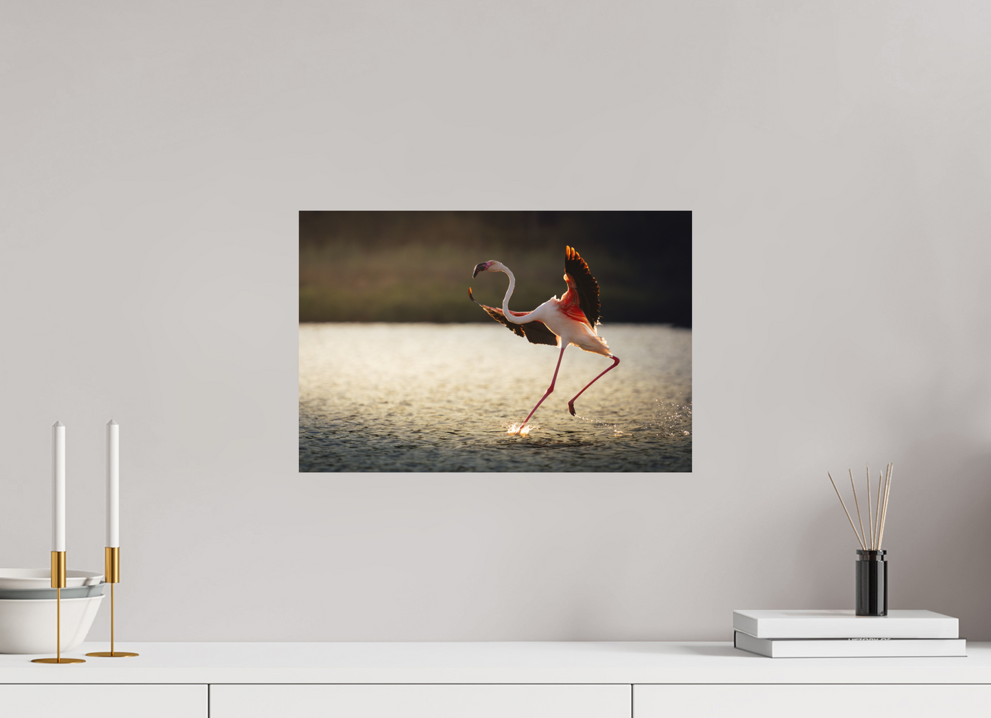 Flamant Rose | le symbole de la camargue