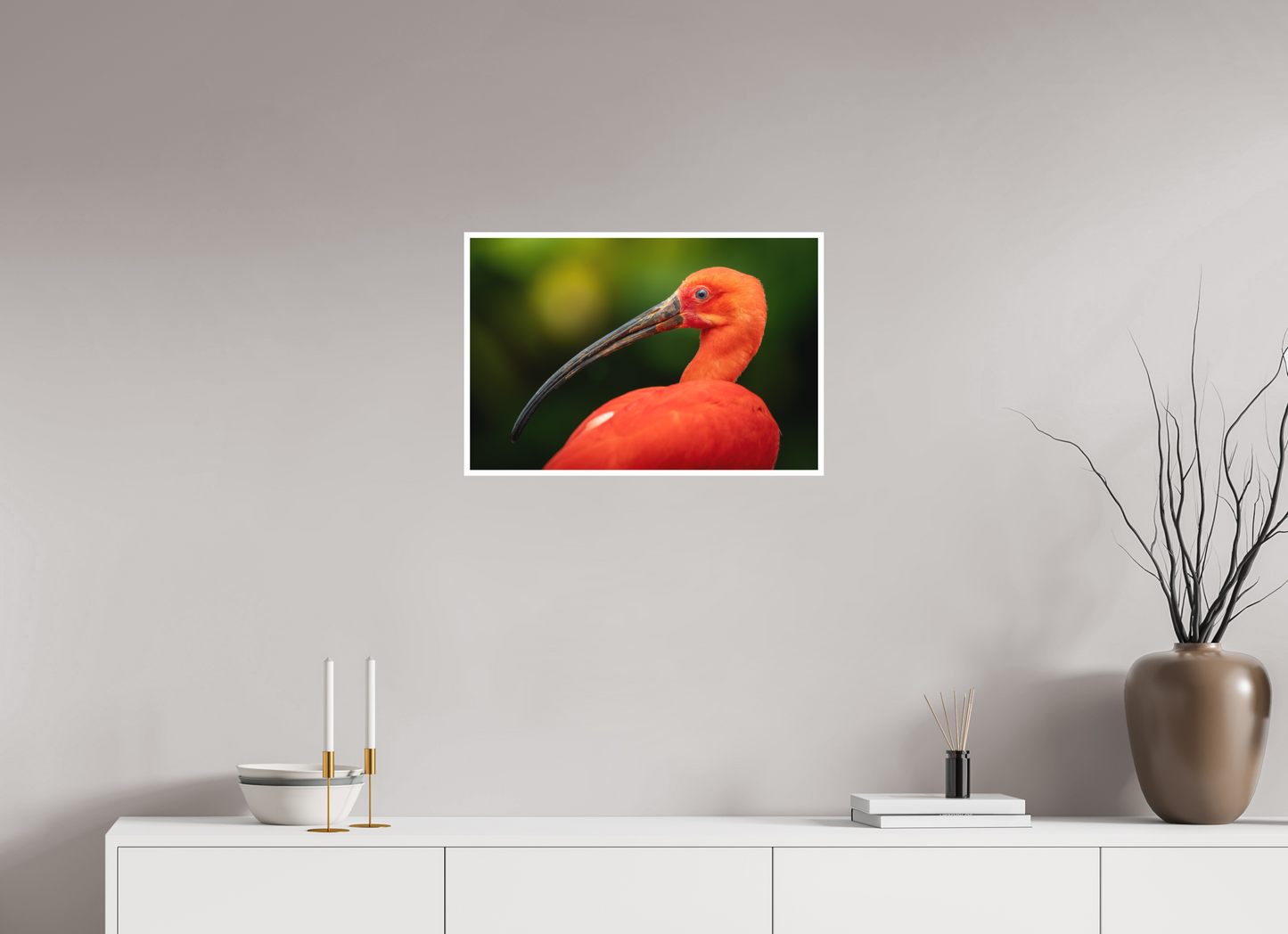 Ibis Rouge | un rouge écarlate