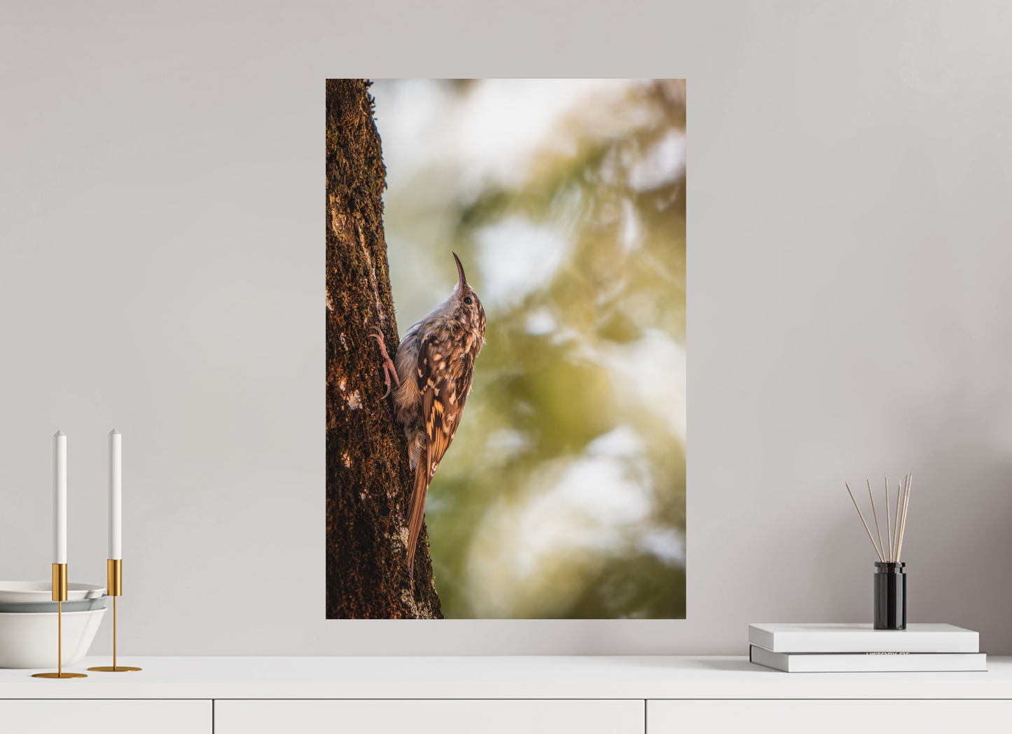 40 x 60 cm, Alu Dibond Ascension Sylvestre