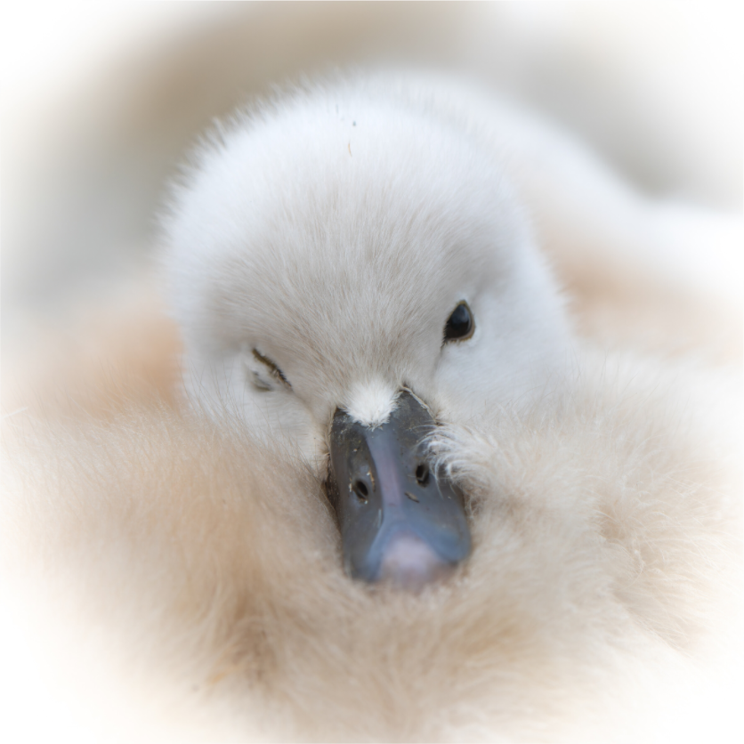 Main image Un Clin d’Œil