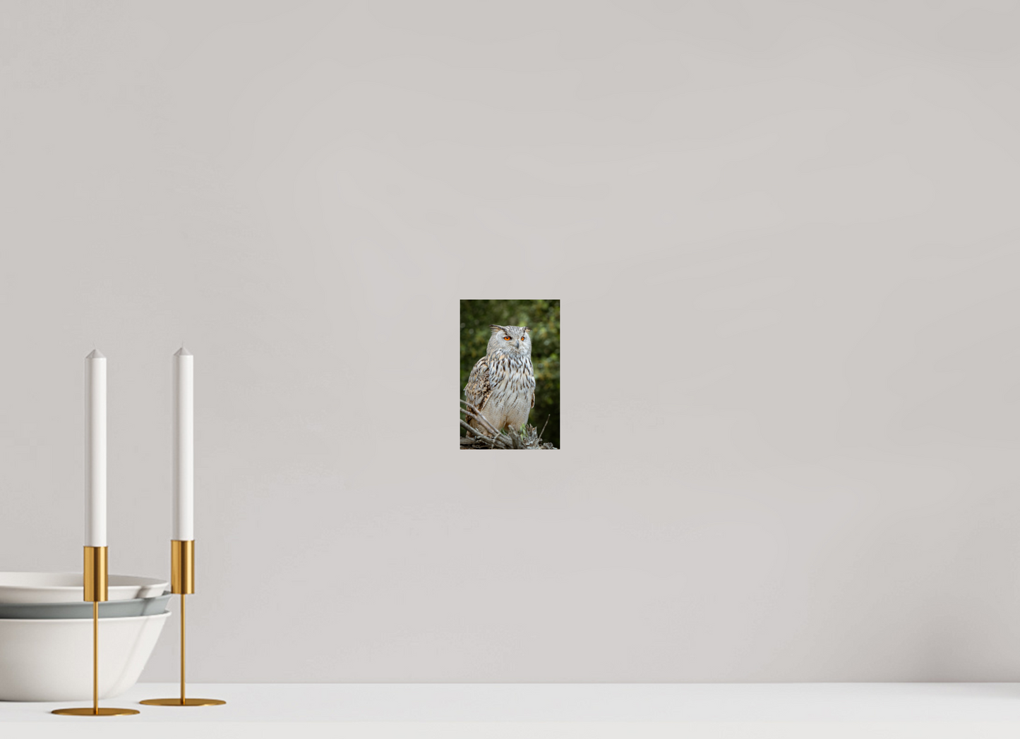 Hibou Grand-duc de Sibérie | belaïa ten’