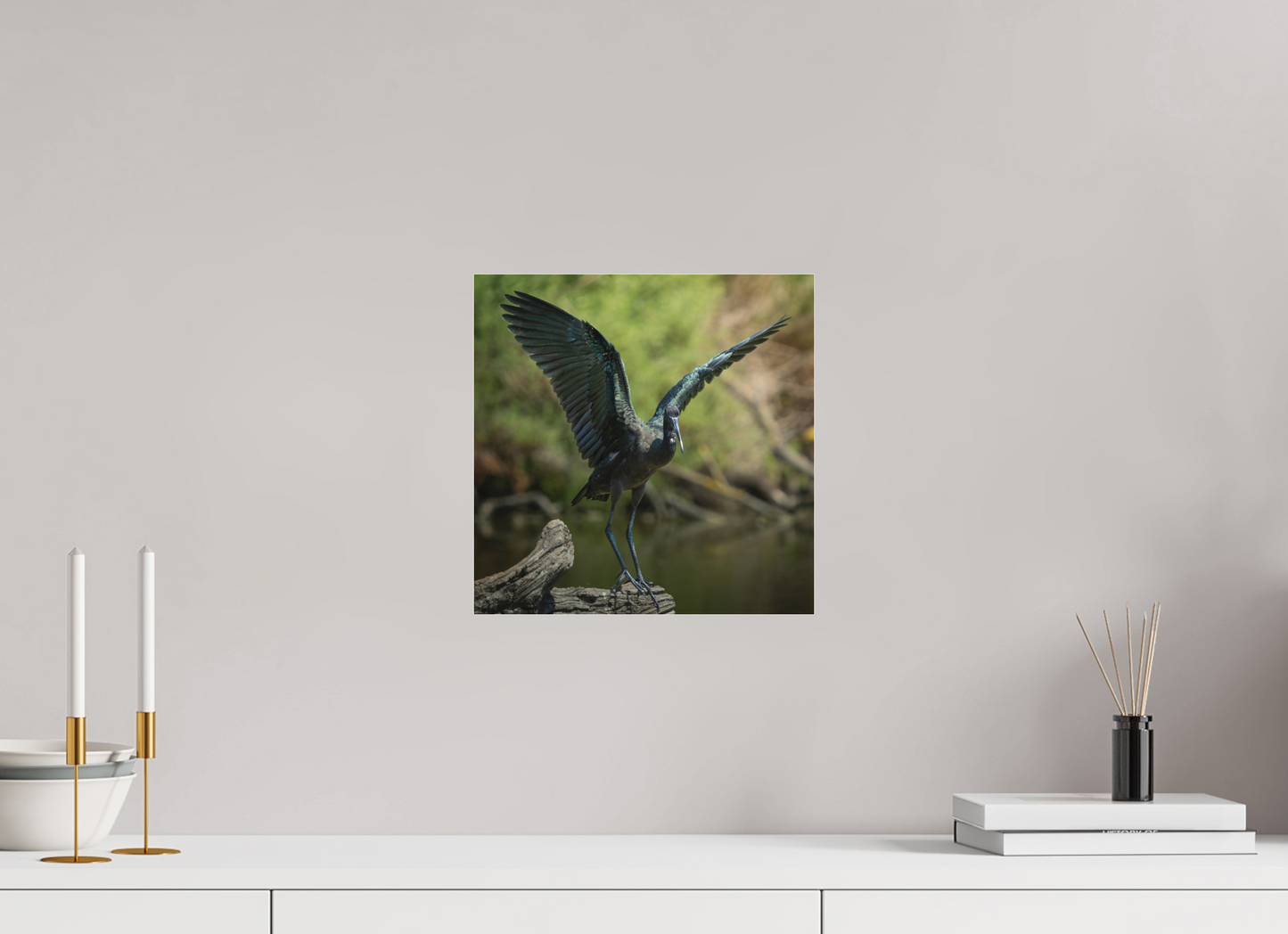 Ibis Falcinelle | cuivre absolu