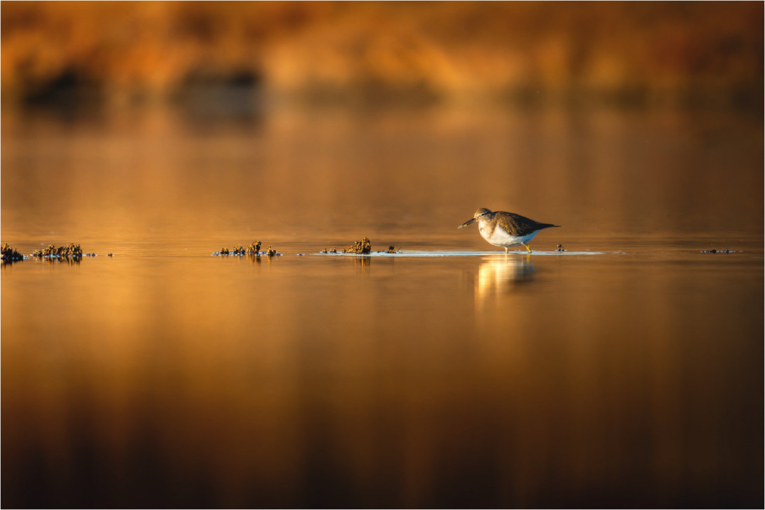 Main image Bord du Silence
