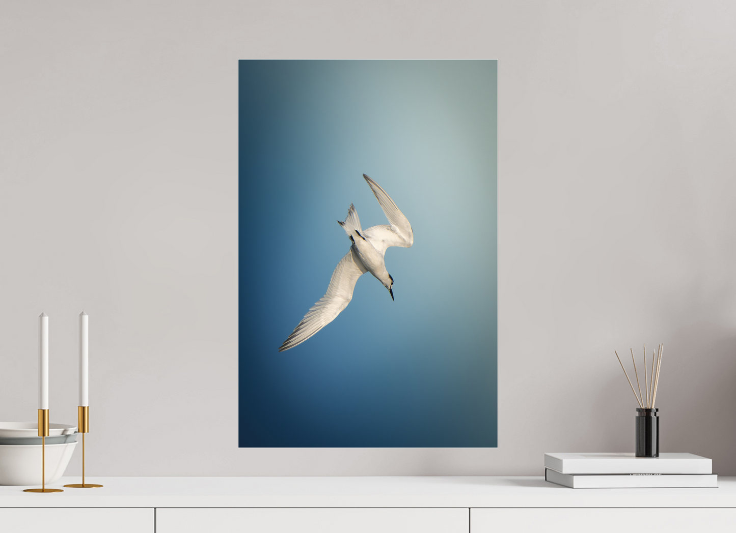 Sterne Caugek | l'amorce