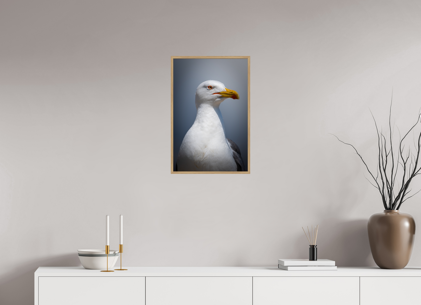 Goéland Leucophée | un portrait marin