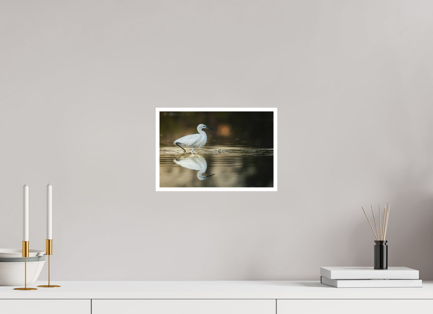 Aigrette Garzette | un reflet parfait