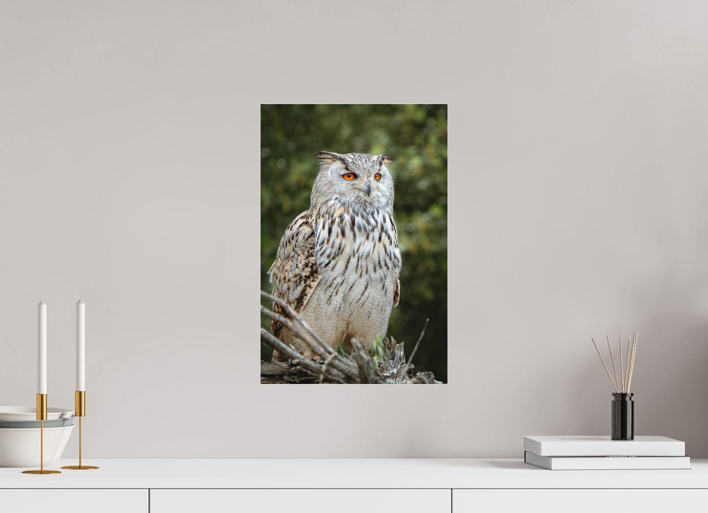 Hibou Grand-duc de Sibérie | belaïa ten’
