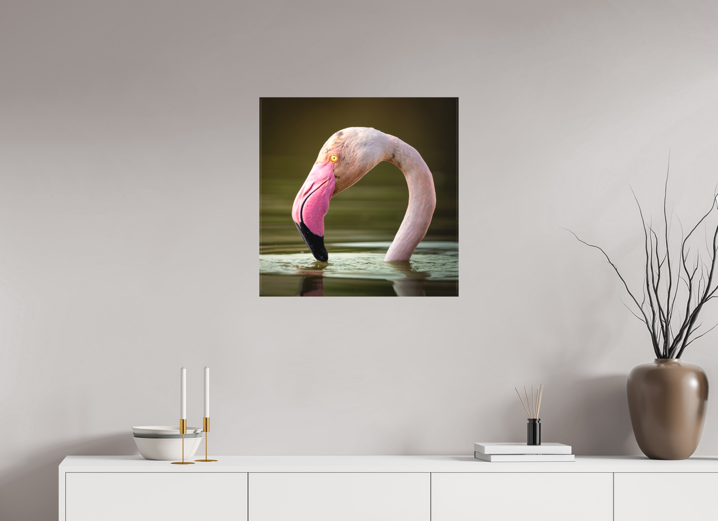 Flamant Rose | le flamant d'eau