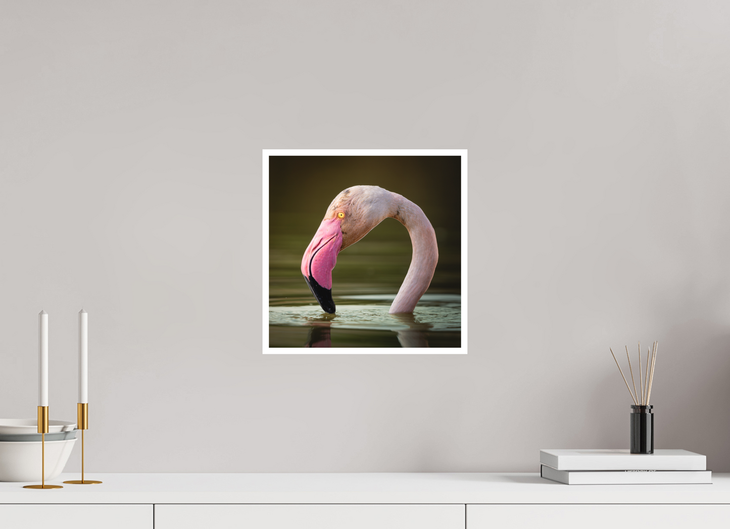 Flamant Rose | le flamant d'eau