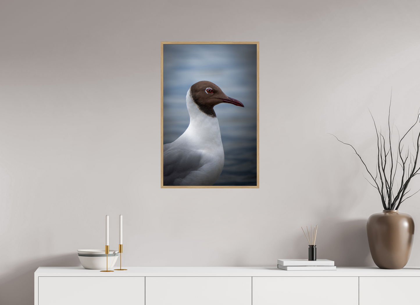 Mouette rieuse | le casque brun