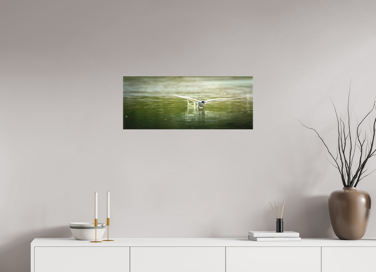 Sterne Pierregarin | chasse en surface