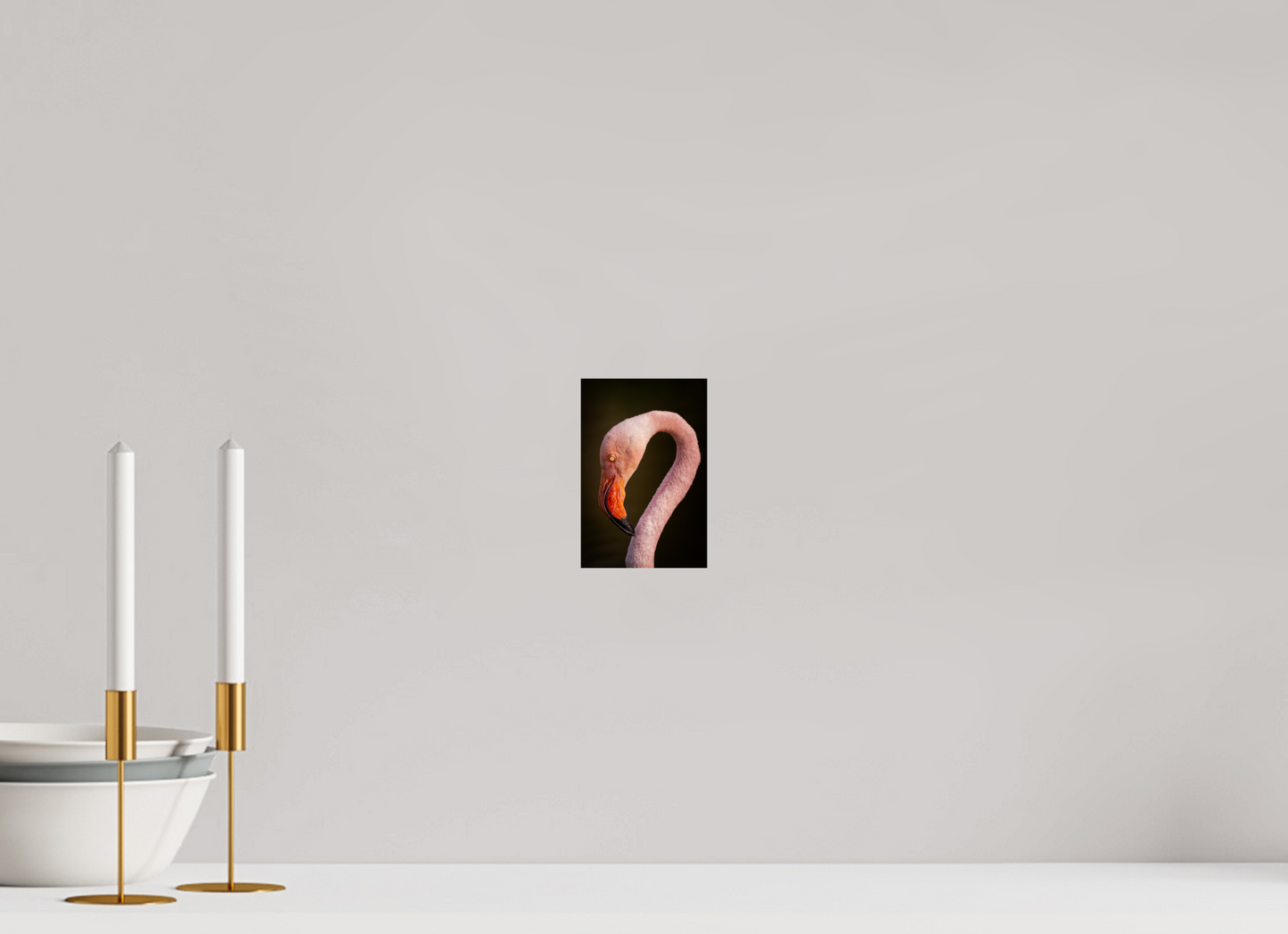 Flamant Rose | des couleurs mortel