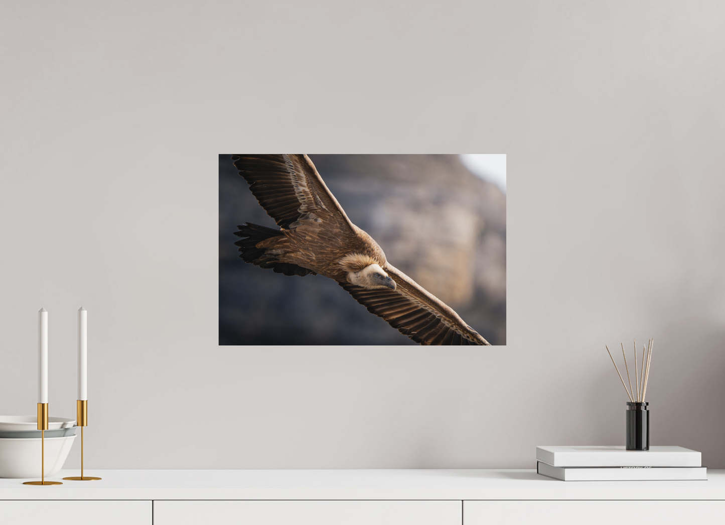 45 x 30 cm, Forex Altus Rex