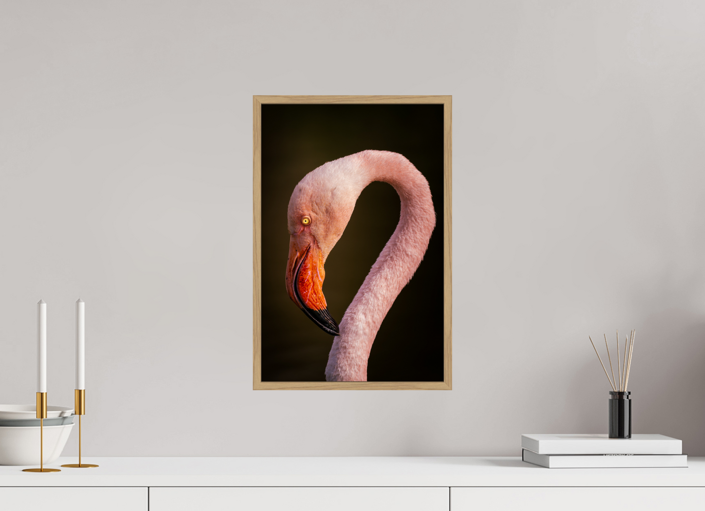 Flamant Rose | des couleurs mortel