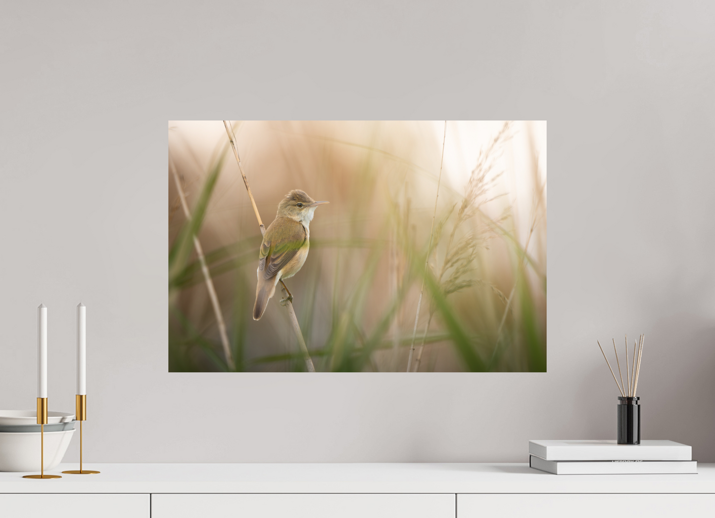 60 x 40 cm, Forex Murmure des Marais