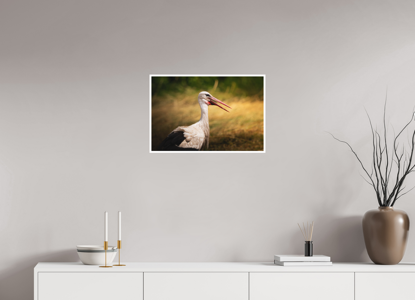 Cigogne blanche | une chaleur ardente