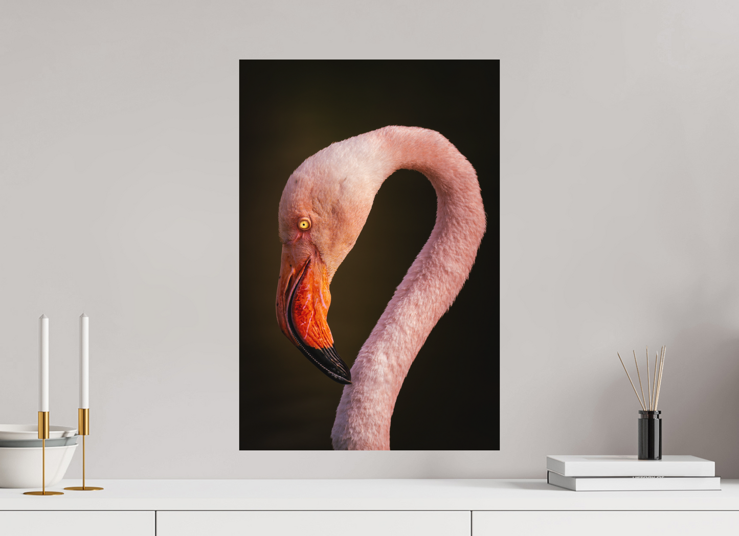 Flamant Rose | des couleurs mortel