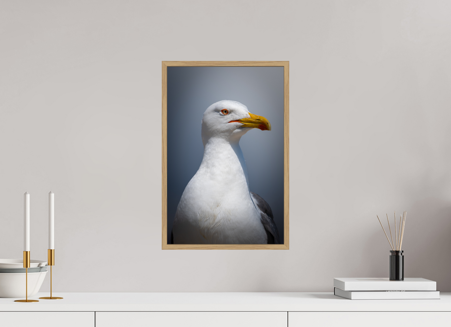Goéland Leucophée | un portrait marin