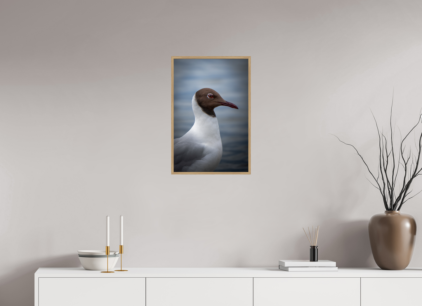 Mouette rieuse | le casque brun