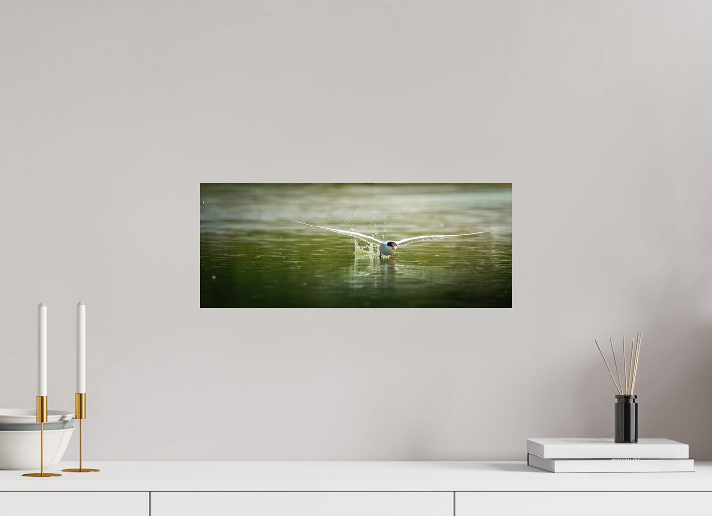Sterne Pierregarin | chasse en surface