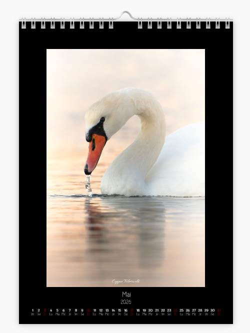 Calendrier photo édition Bouches-du-Rhône 2026