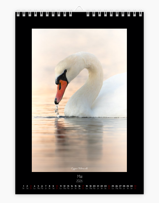 Calendrier photo édition Bouches-du-Rhône 2026