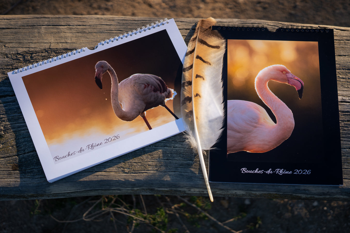 Calendrier photo édition Bouches-du-Rhône 2026