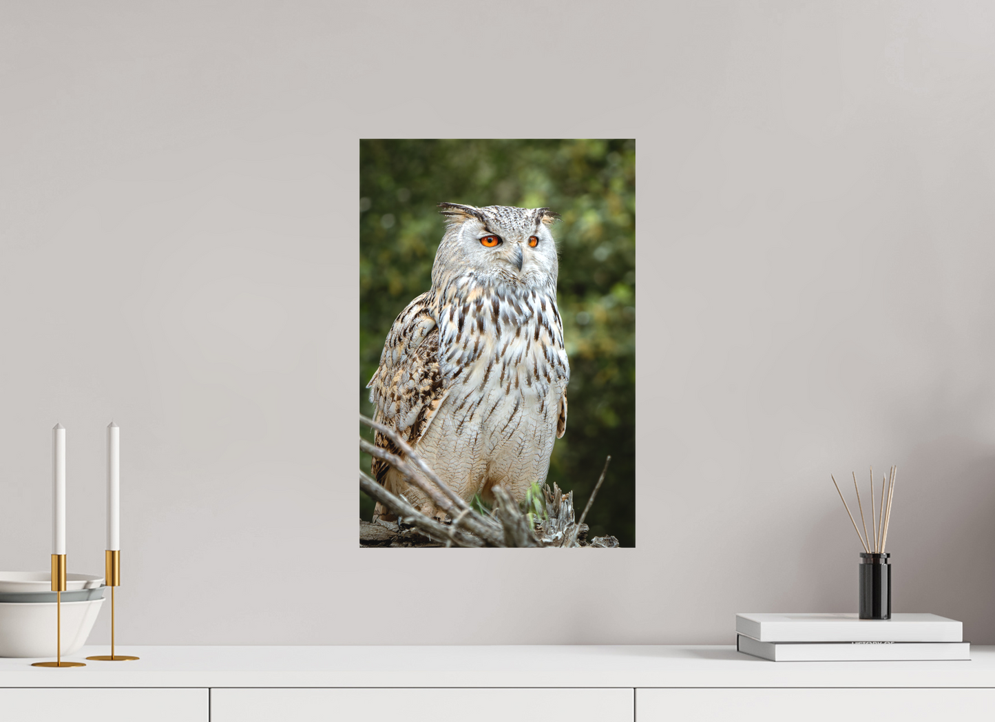 Hibou Grand-duc de Sibérie | belaïa ten’