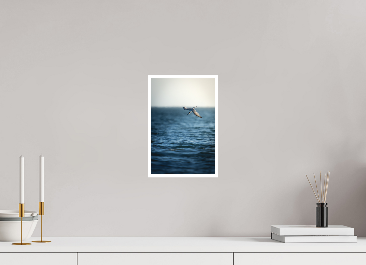 Sterne Caugek | plongeon fulgurant
