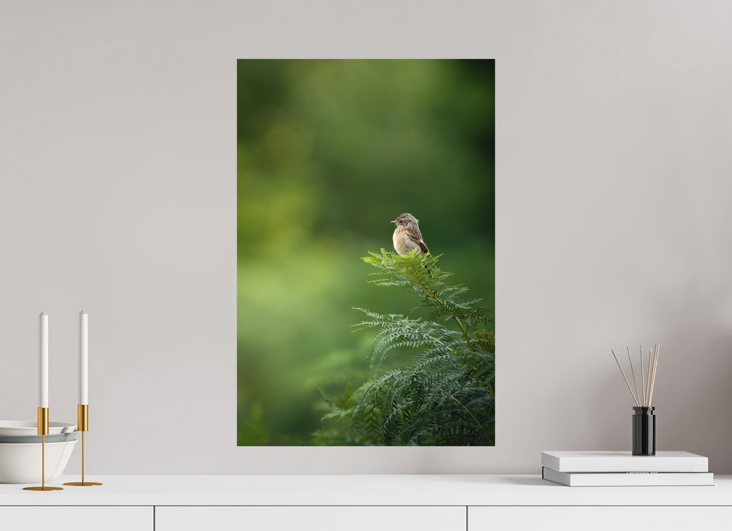 40 x 60 cm, Forex Petit Brave