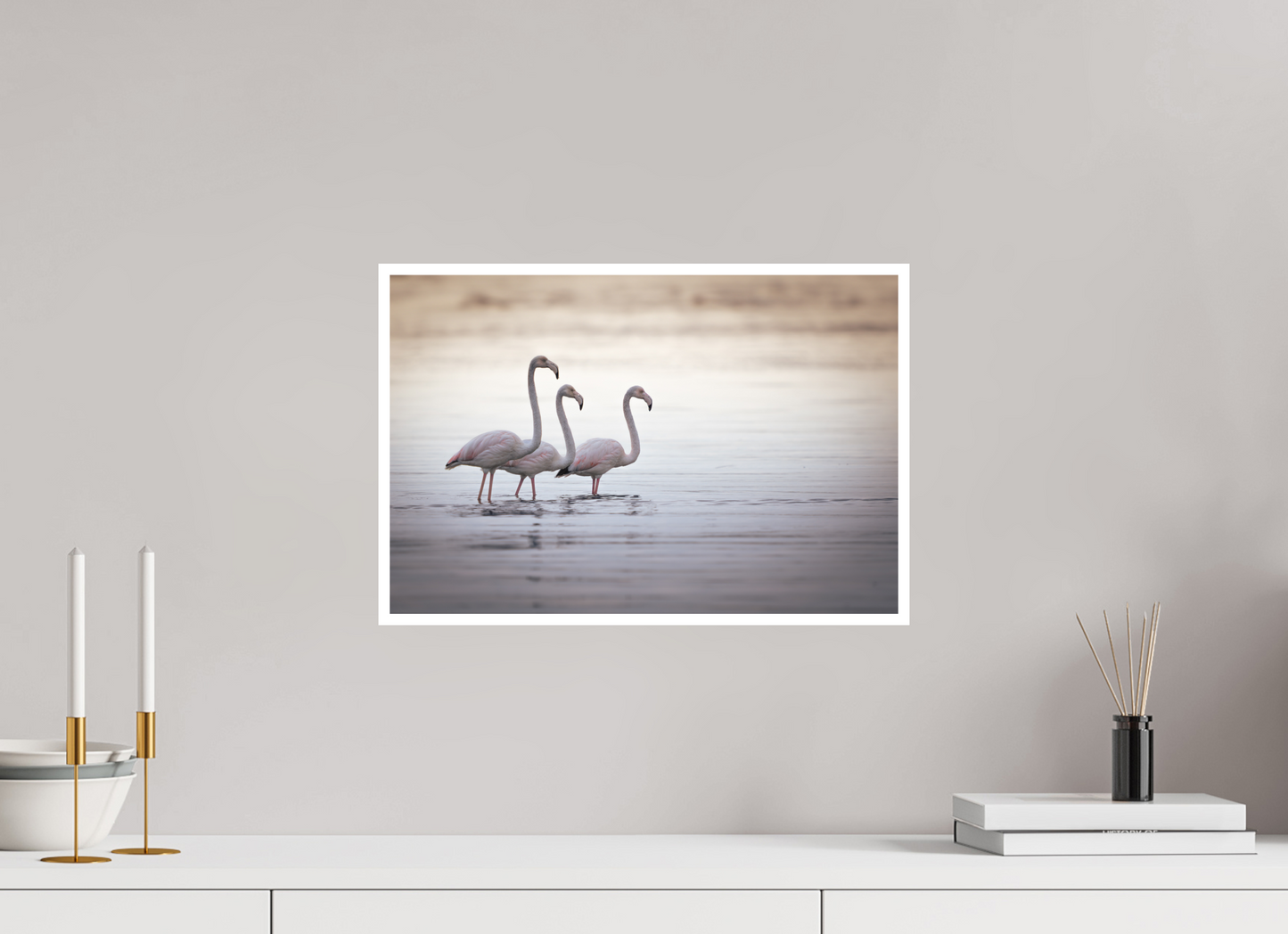 Flamant Rose | le trio juvénile