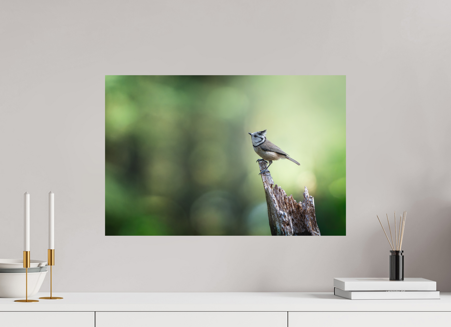 60 x 40 cm, Alu Dibond Présence Sylvestre