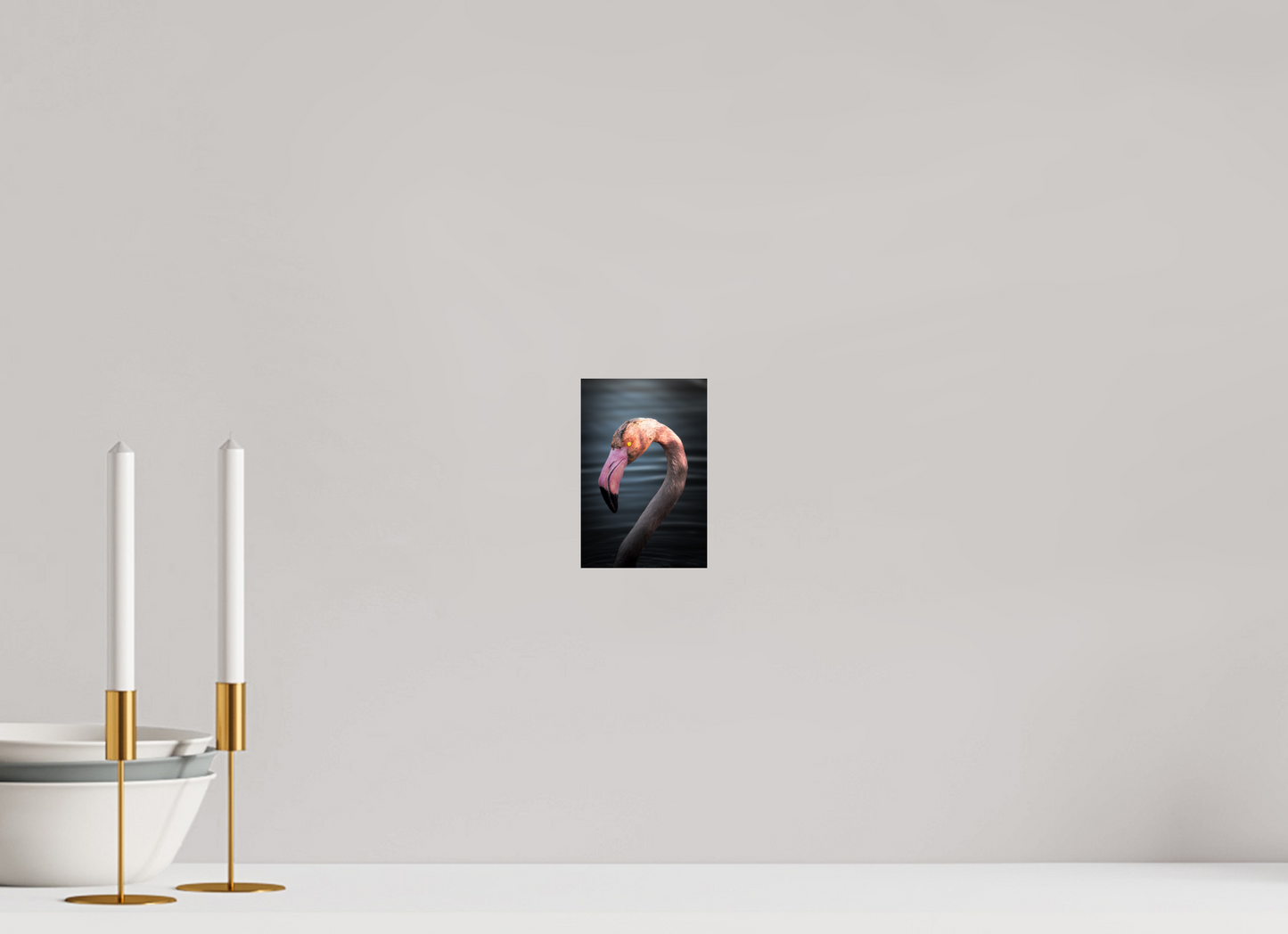 Flamant Rose | un regard menaçant