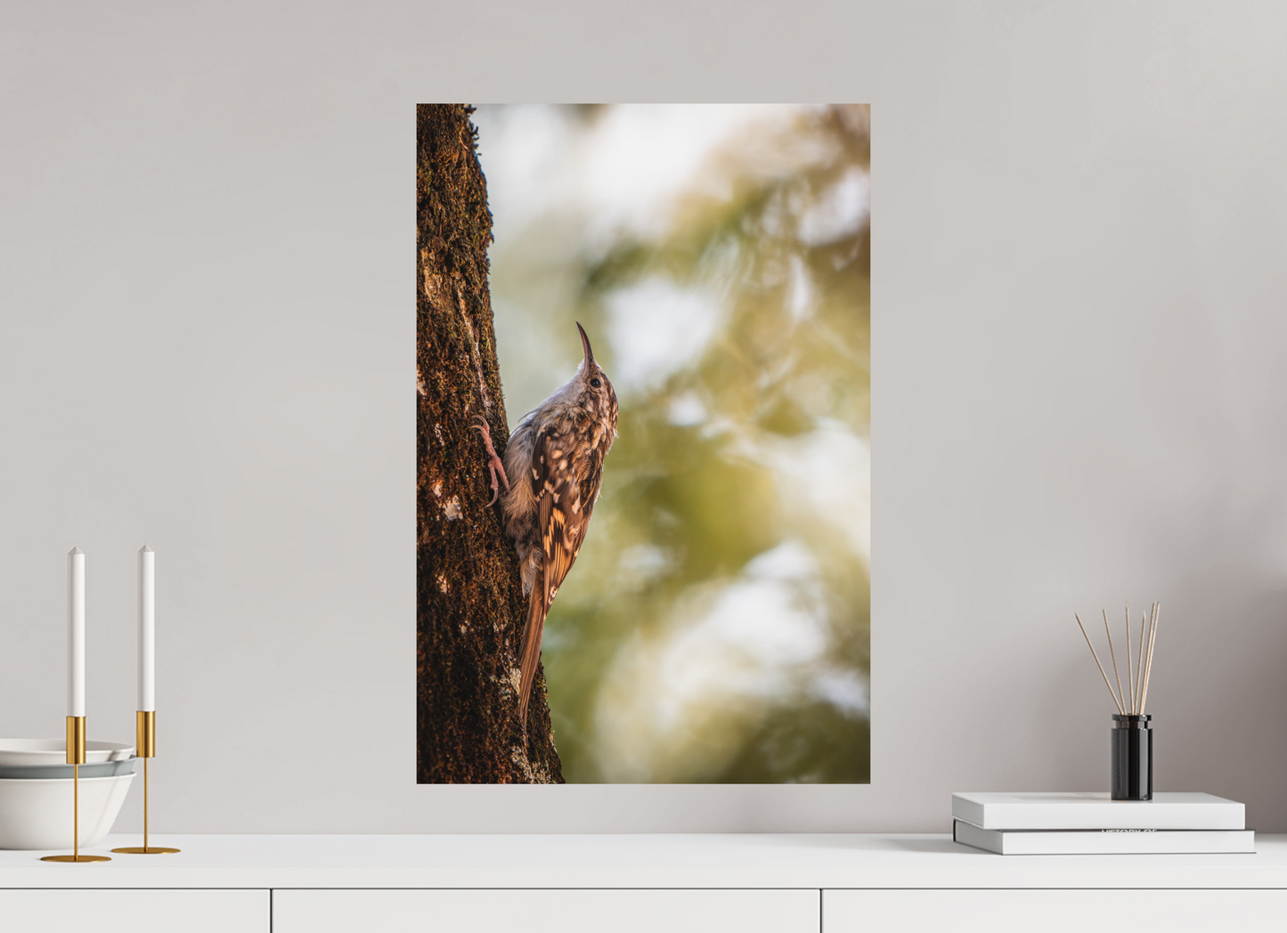 40 x 60 cm, Forex Ascension Sylvestre