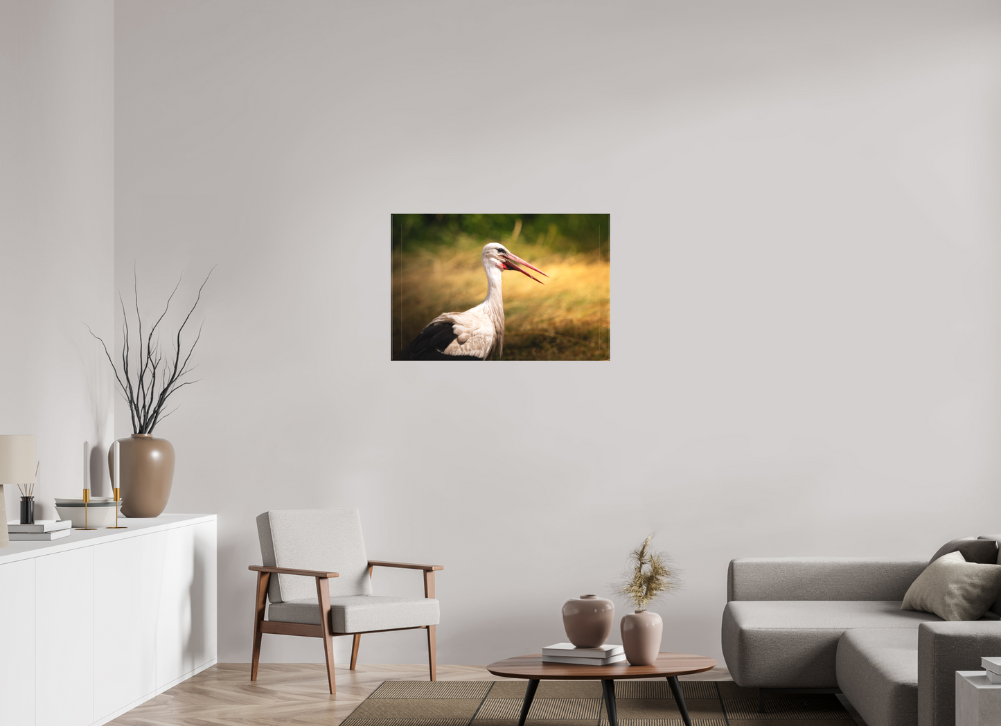 Cigogne blanche | une chaleur ardente