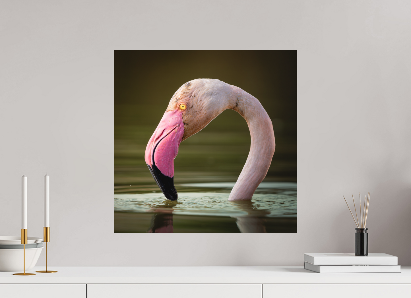 Flamant Rose | le flamant d'eau