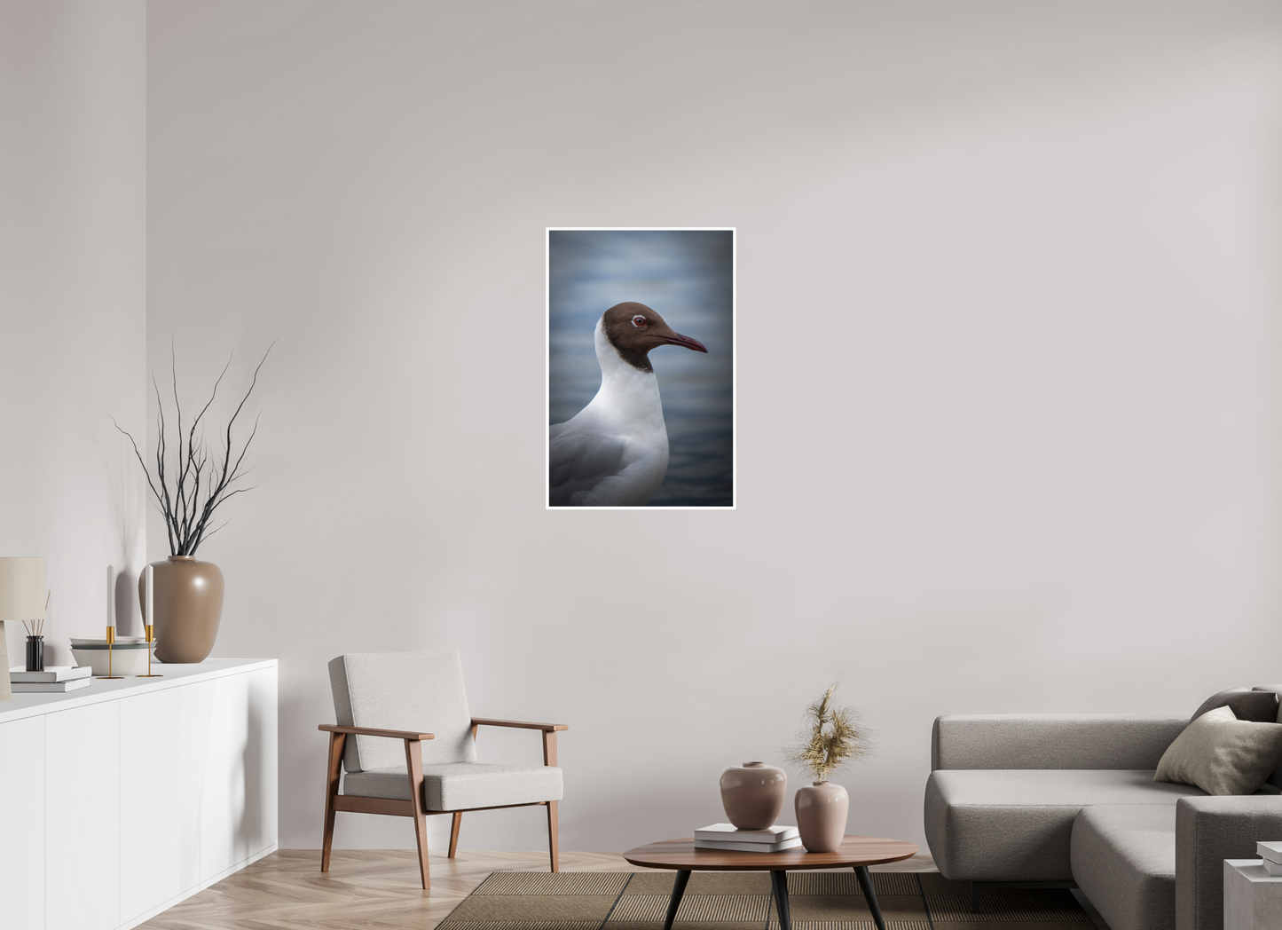 Mouette rieuse | le casque brun