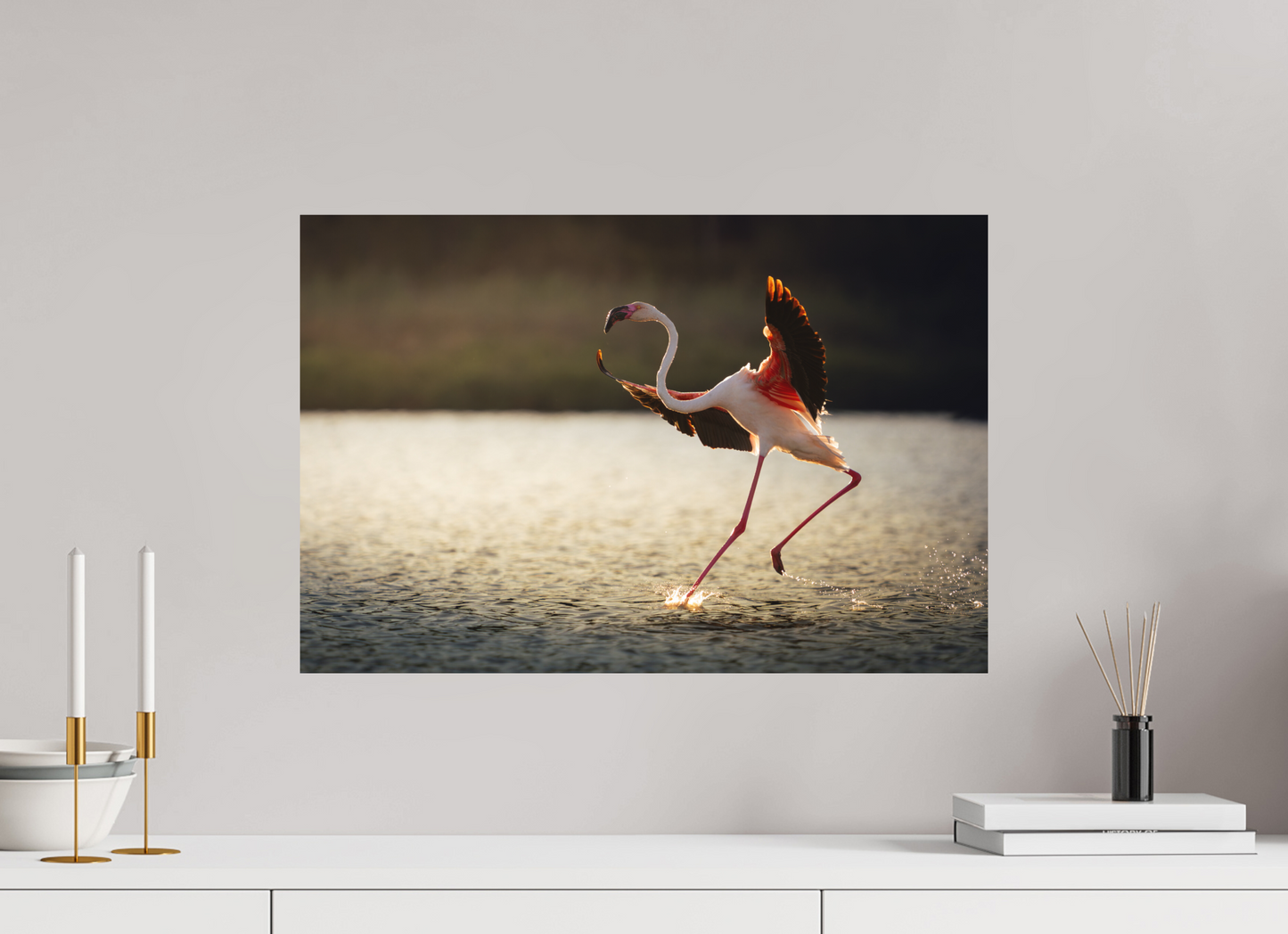 Flamant Rose | le symbole de la camargue