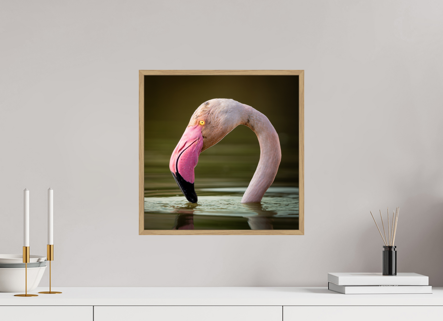 Flamant Rose | le flamant d'eau