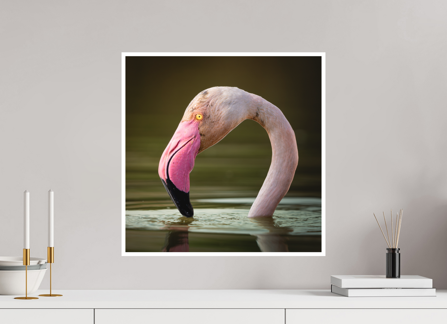 Flamant Rose | le flamant d'eau