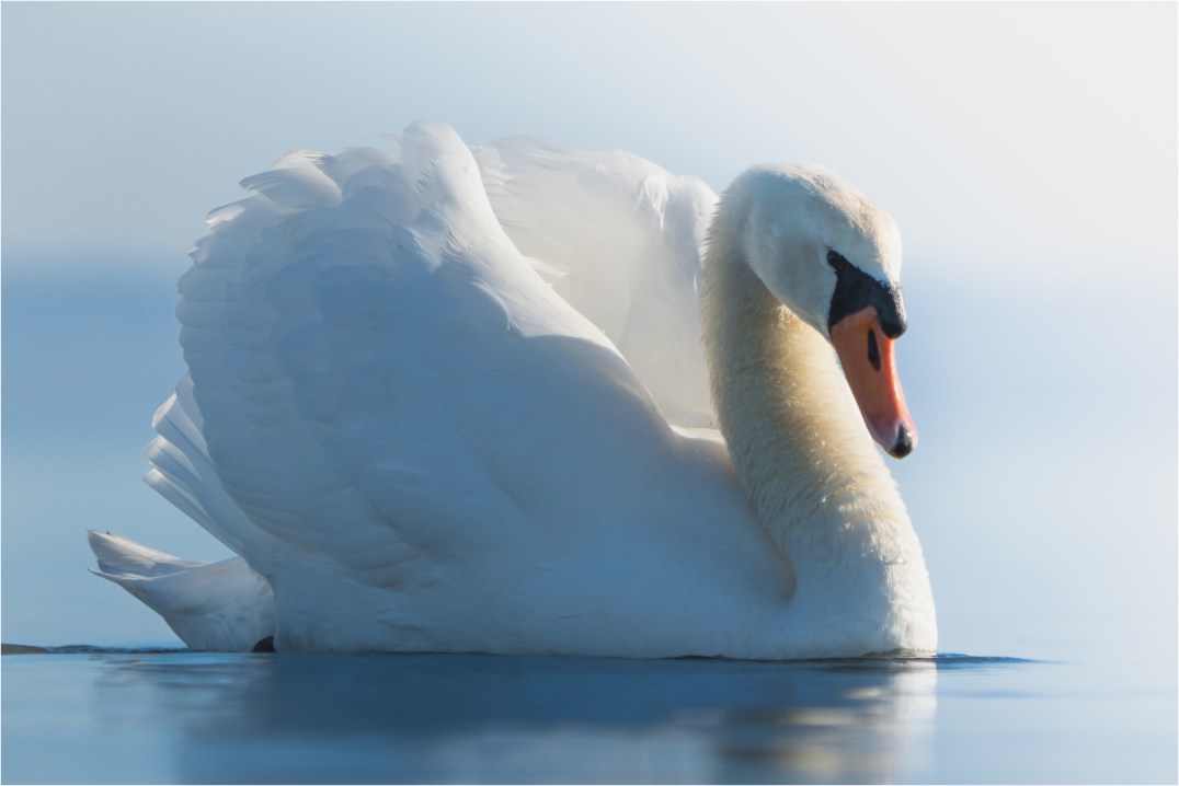 Main image Beauté Divine